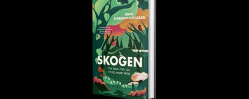 Anne Sverdrup Thygeson Skogen