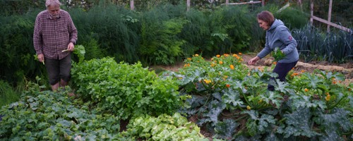 637389374 1319411286898647 9145660730421888623 N