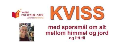 Kvisstoppbilde