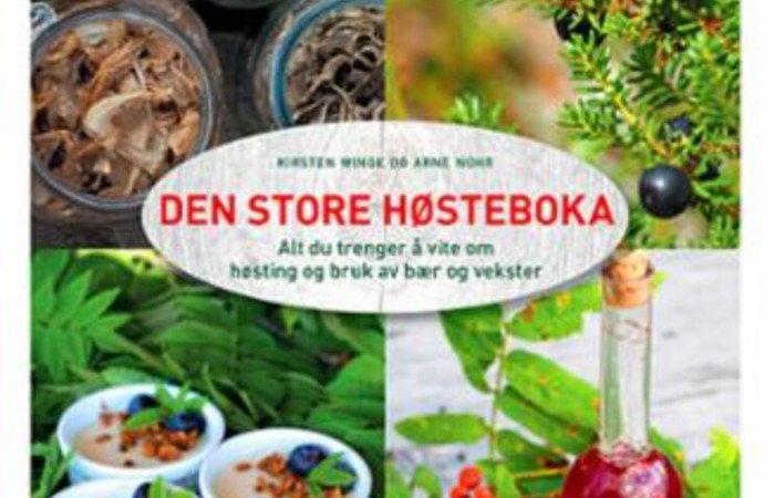 Hosteboka