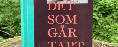 Det Som Går Tapt