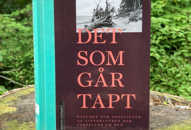 Det Som Går Tapt
