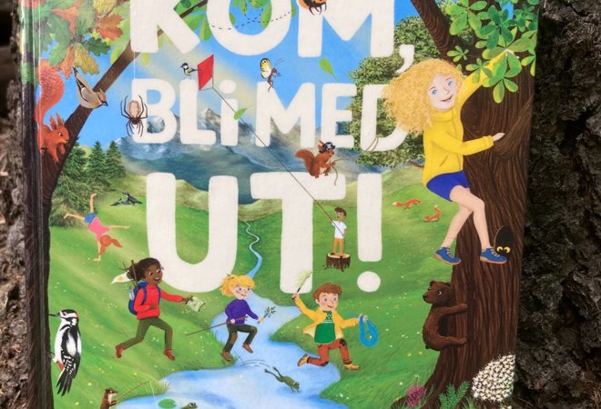Komblimedut