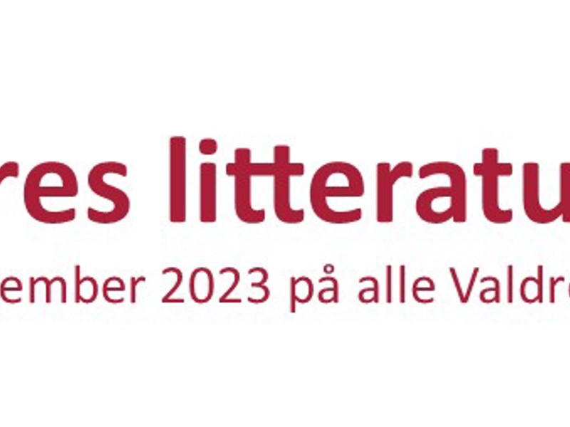 Vl2023logo