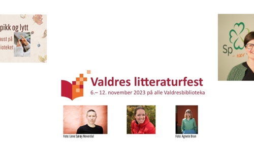 Heimeside Covers (1)