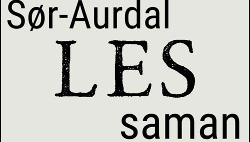 Sør Aurdal Les Saman