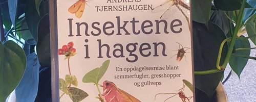 Insekteneihagen