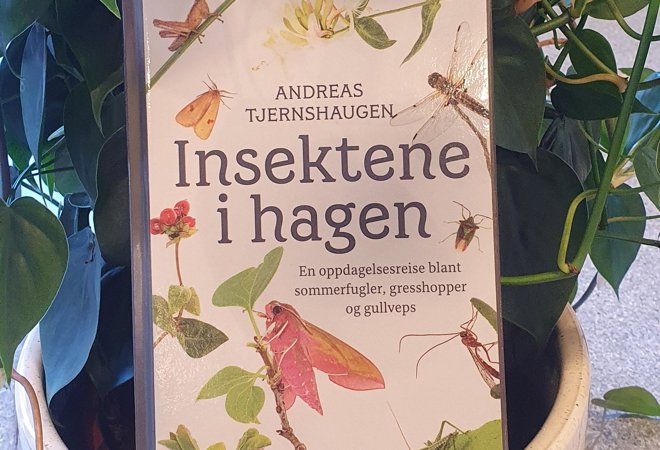 Insekteneihagen
