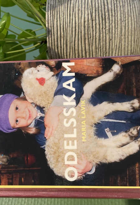 Odelsskam