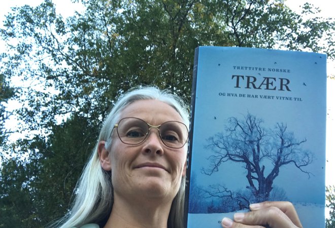 Trettitrenorsketre