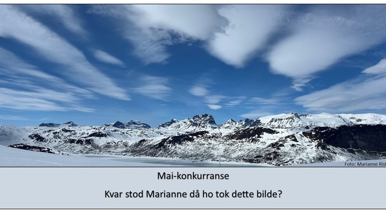 Maikonkurransepublisher