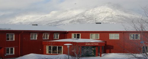 Vangstunet